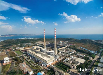 大连甘井电厂氨气检测项目