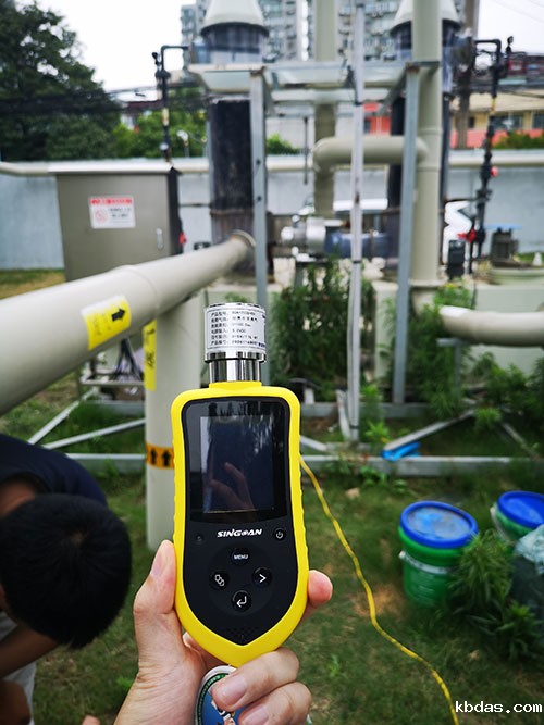 便携探杆式氨气检测仪