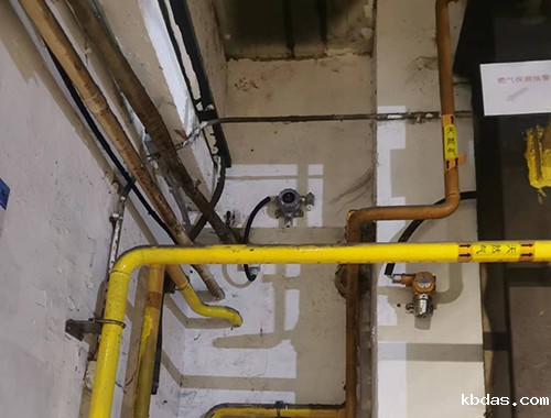 氧气检测仪(报警器)